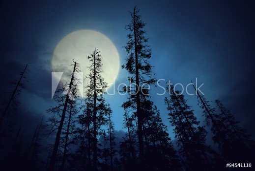 Picture of Spooky forest with full moon